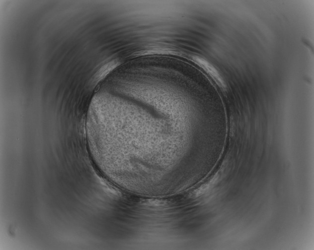 X0000090991241200708241418