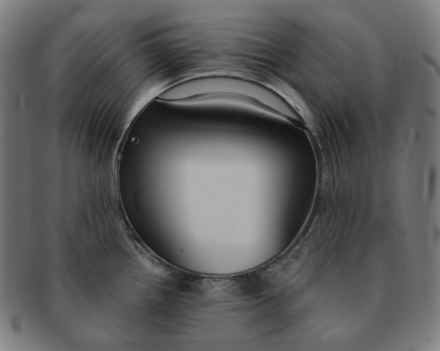 X0000090991242200708241418