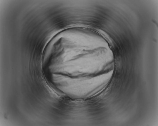 X0000090991244200708241419