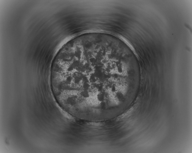 X0000090991245200708241419