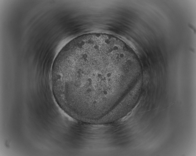 X0000090991247200708241419