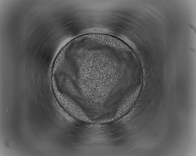 X0000090991248200708241419