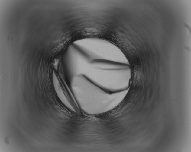 X0000090991250200708241418