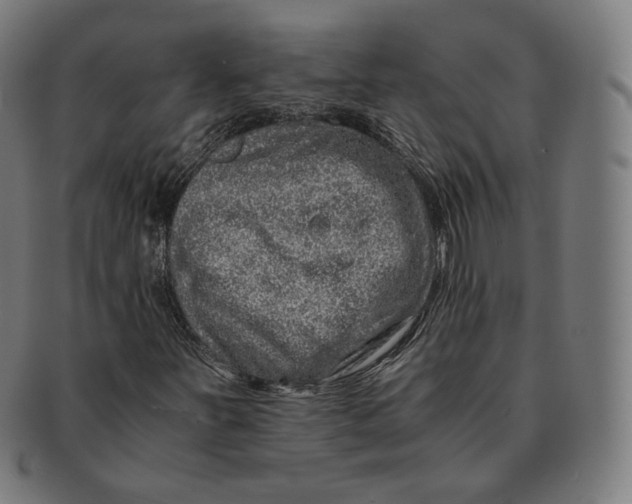 X0000090991251200708241418