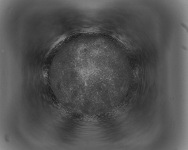 X0000090991254200708241418