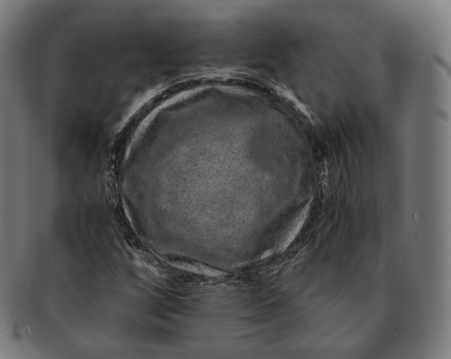 X0000090991256200708241418