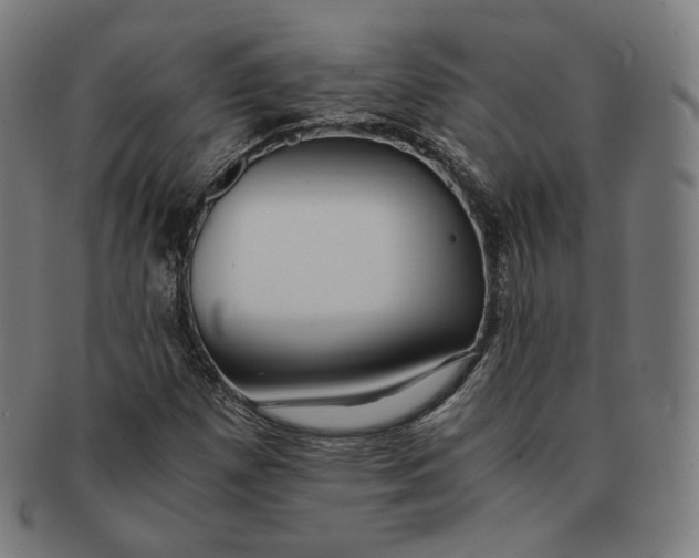 X0000090991257200708241418