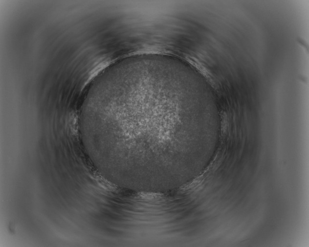 X0000090991258200708241418