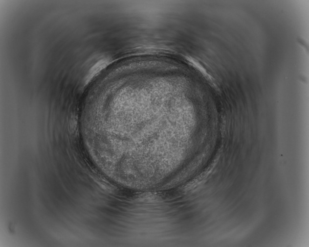 X0000090991259200708241418