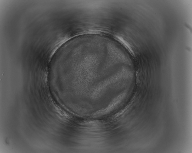 X0000090991260200708241418