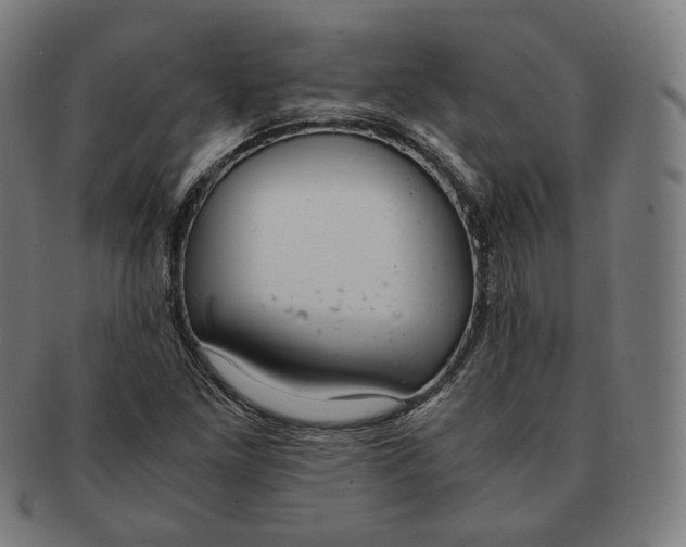 X0000090991261200708241418