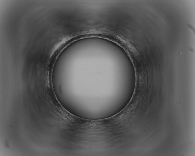 X0000090991262200708241418