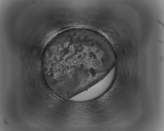 X0000090991263200708241418