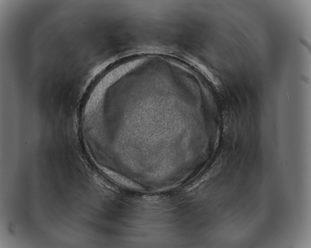 X0000090991264200708241418