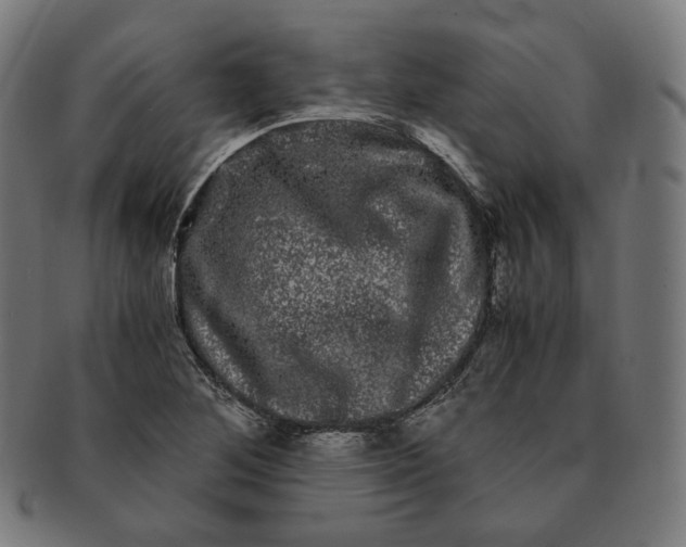 X0000090991268200708241417