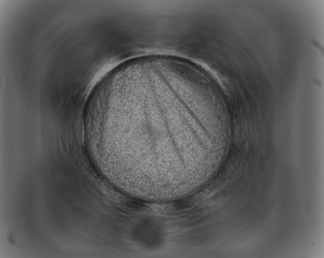 X0000090991271200708241417