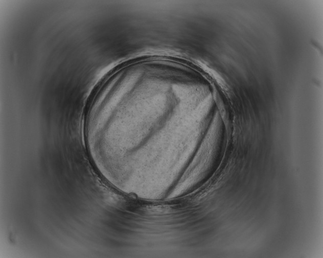 X0000090991272200708241417