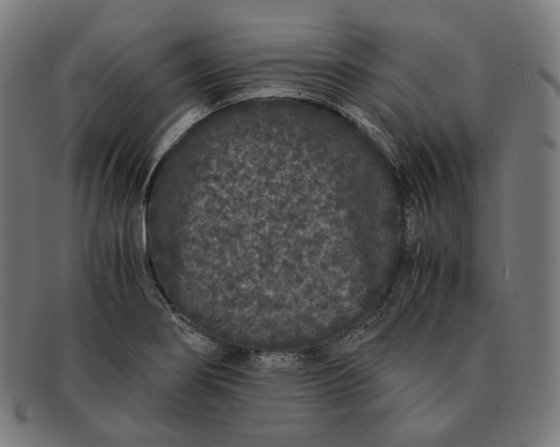 X0000090991274200708241417