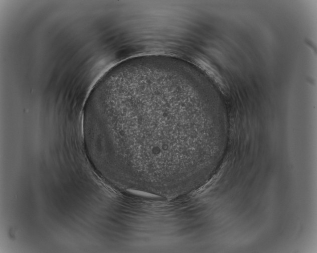 X0000090991275200708241417