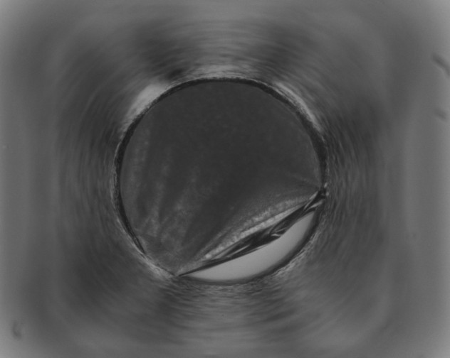 X0000090991277200708241417