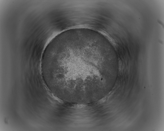 X0000090991278200708241417