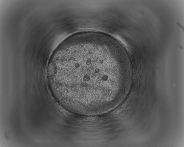 X0000090991279200708241417