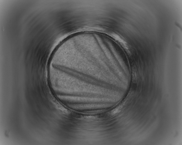 X0000090991280200708241417