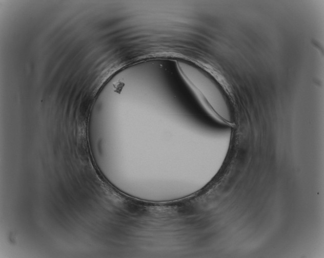 X0000090991281200708241417