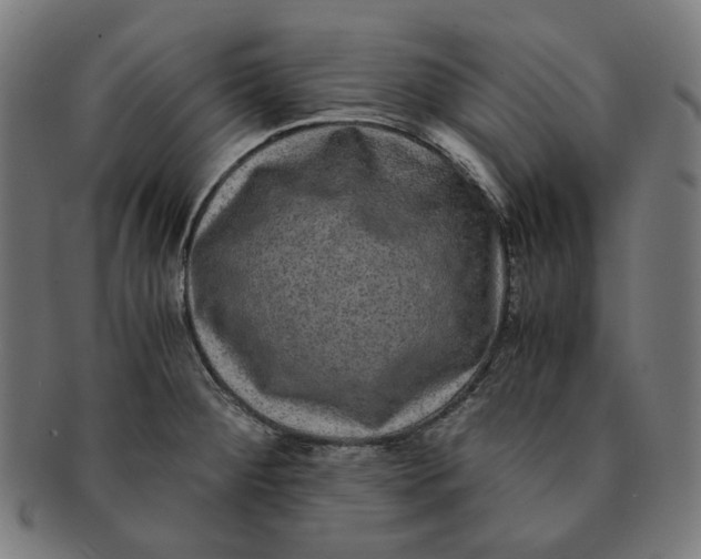 X0000090991284200708241417