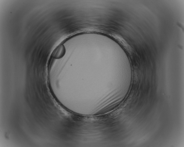 X0000090991286200708241417