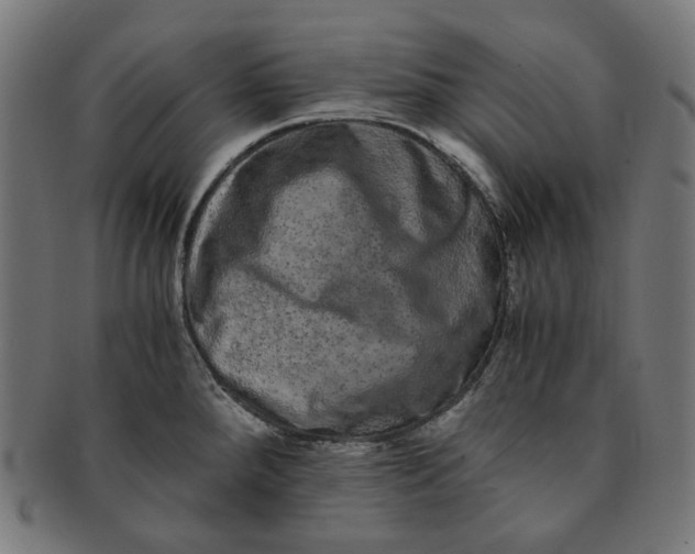 X0000090991288200708241417