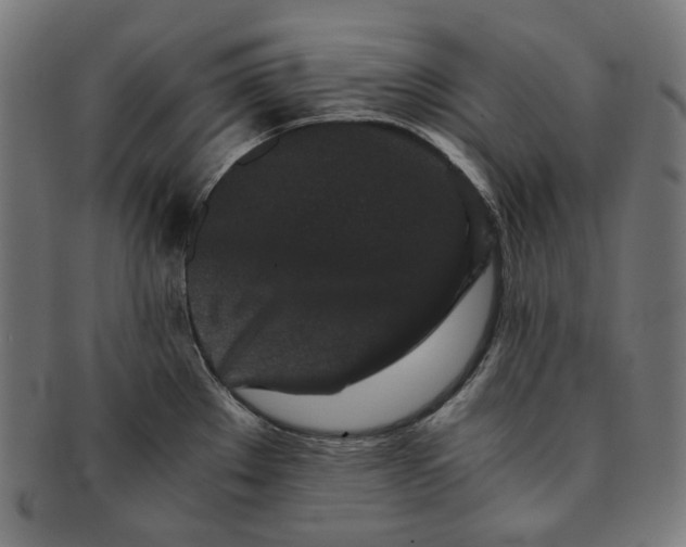 X0000090991289200708241417