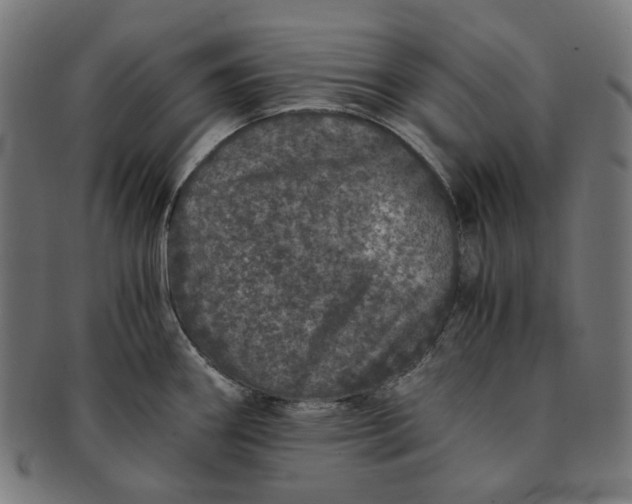 X0000090991290200708241417