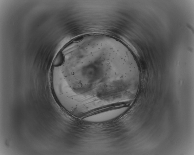 X0000090991291200708241417