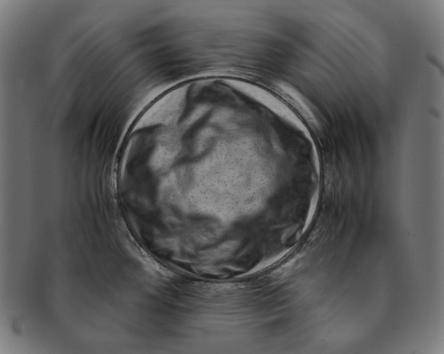 X0000090991292200708241417