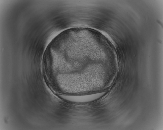 X0000090991295200708241417