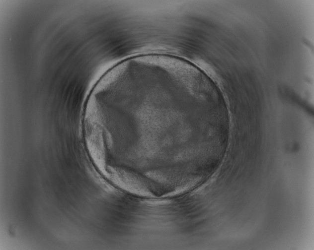 X0000090991296200708241417