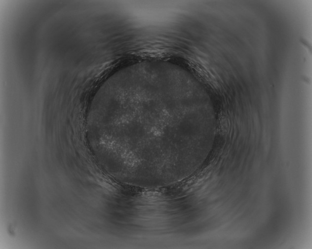 X0000090991297200708241416