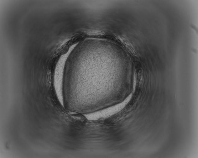 X0000090991301200708241416