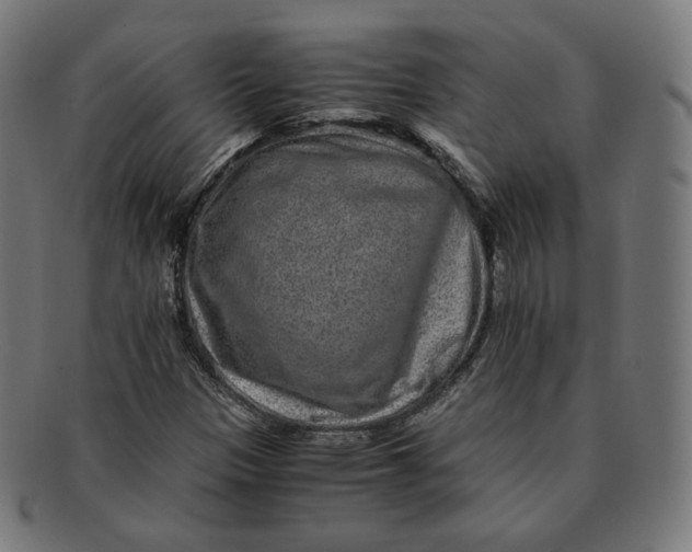 X0000090991305200708241417