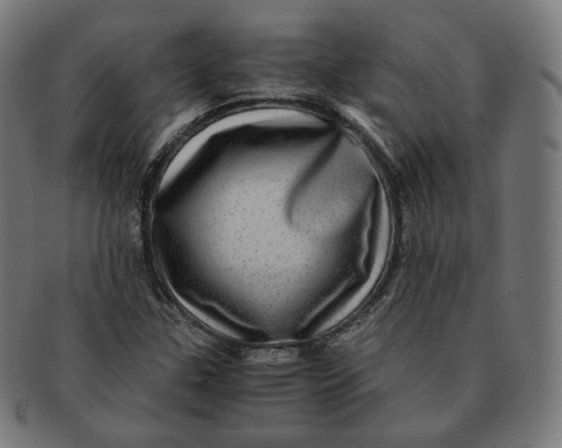 X0000090991307200708241417