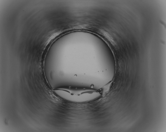 X0000090991308200708241417