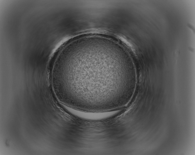 X0000090991310200708241417