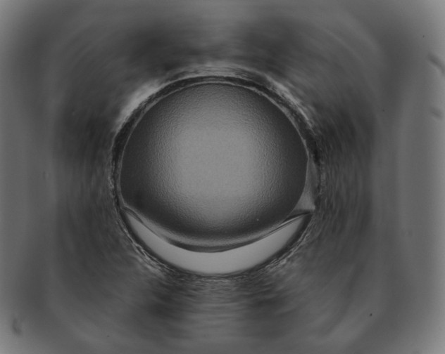 X0000090991312200708241417