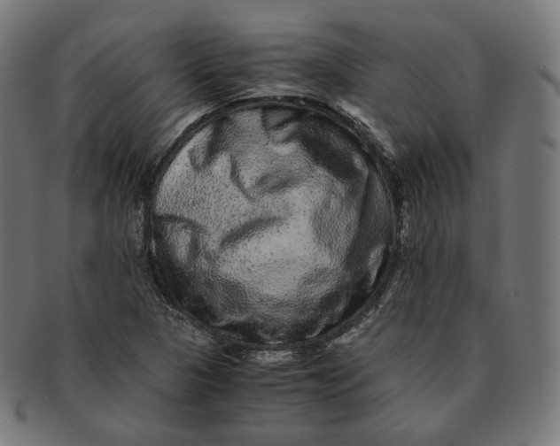 X0000090991313200708241417