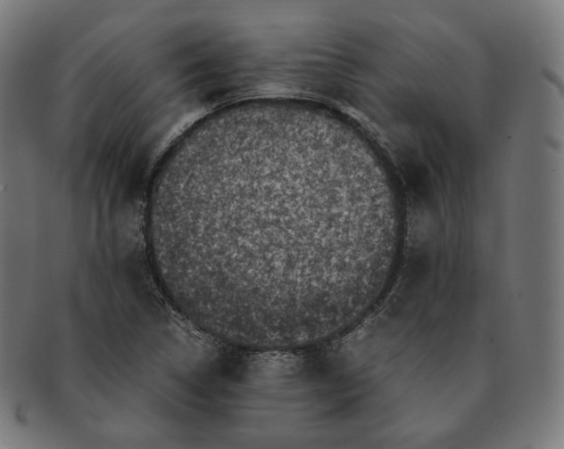 X0000090991314200708241417