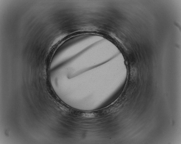 X0000090991315200708241417