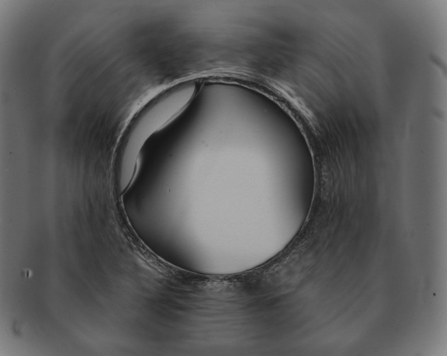 X0000090991316200708241417