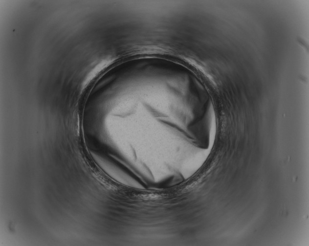 X0000090991317200708241417