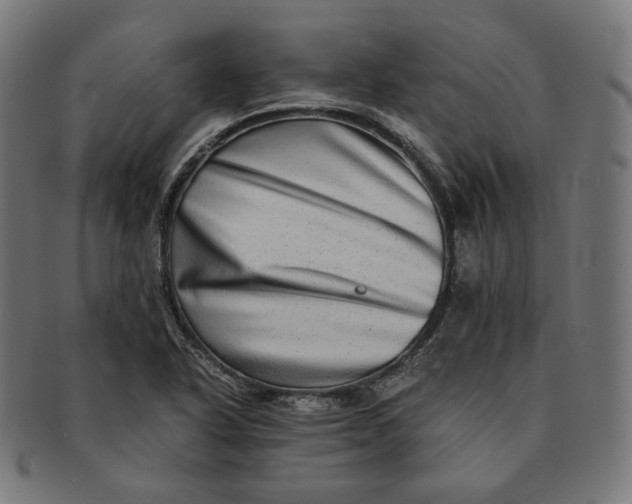 X0000090991318200708241417